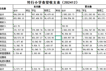 食堂收支表2024