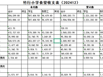 食堂收支表2024